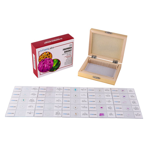 CamLabs Prepared Microscope Slides with Specimens for Kids & Biology Students | 25 Plant & Animal Glass Slides with Wooden Storage Box